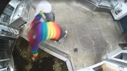 Ativista é condenada após furtar lagosta de restaurante para "libertá-la"