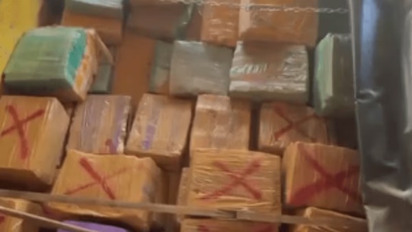 PRF faz maior apreensão de maconha do ano com 12 toneladas de droga em GO