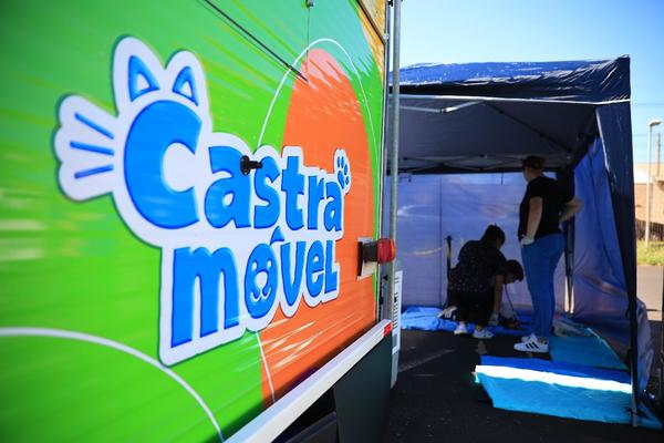 Castramóvel realiza 237 castrações em 15 dias de reativação em Ribeirão Preto