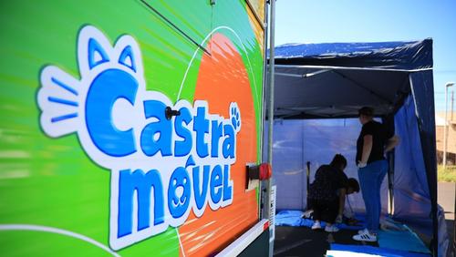 Castramóvel realiza 237 castrações em 15 dias de reativação em Ribeirão Preto