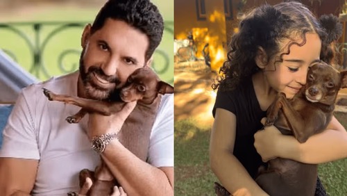 Desaparecido há 1 semana, pinscher do sertanejo Edson é encontrado morto