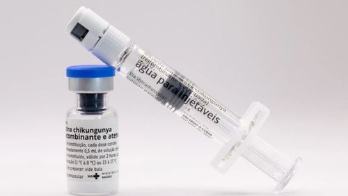 Butantan vai produzir vacina nacional contra chikungunya