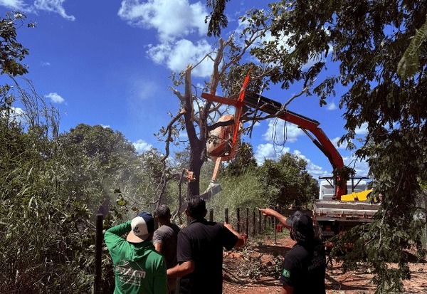 Helicóptero da dupla Henrique e Juliano cai em fazenda no Tocantins