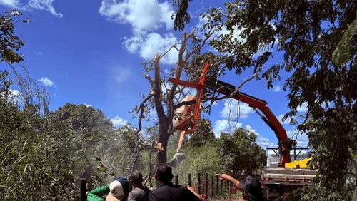 Helicóptero da dupla Henrique e Juliano cai em fazenda no Tocantins