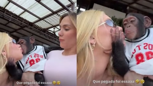 Chimpanzé beija Virginia Fonseca na boca e surpreende: 'Que pegada'