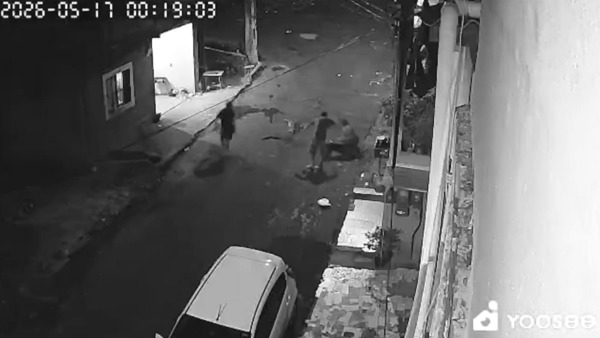 Mulher fica gravemente ferida após ataque de pit bull em Vitória (ES)
