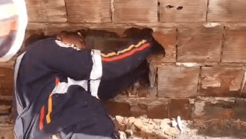 Recém-nascido abandonado entre muros morre em hospital de João Pessoa