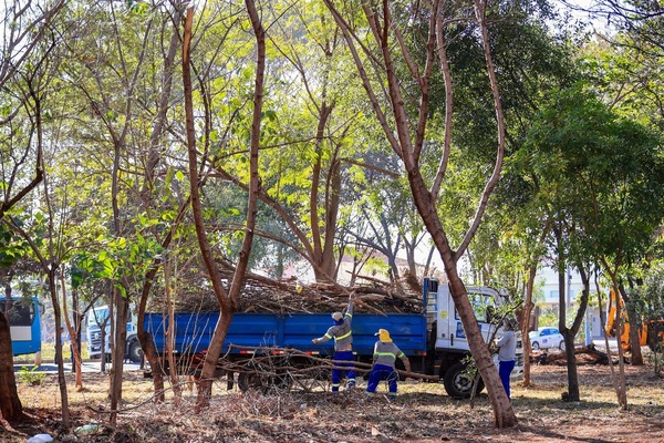 Prefeitura inicia mutirão de cata galhos neste sábado (30) em Ribeirão Preto