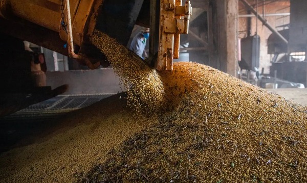 Economia brasileira cresce 1,1% no 1º trimestre de 2026