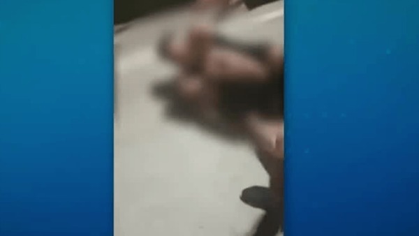 Lutador é preso após aplicar mata-leão em adolescente durante confusão