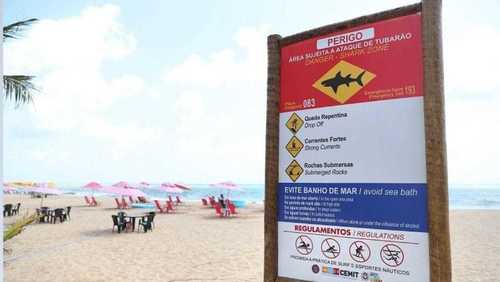 PE tem 83 incidentes com tubarões desde 1992; 24 foram na Praia de Piedade