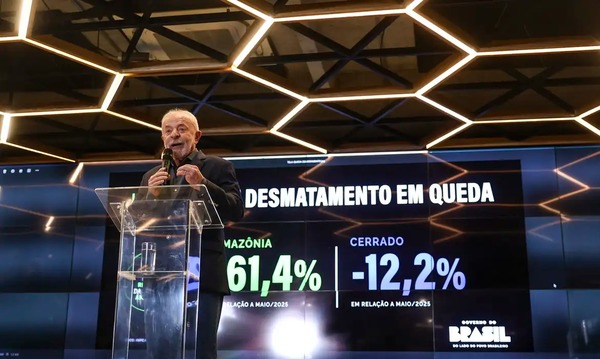 Governo Federal diz que desmatamento na Amazônia caiu 61,4% em maio de 2026