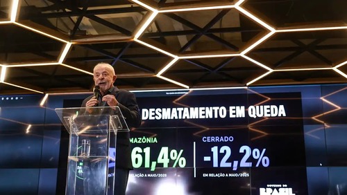 Governo Federal diz que desmatamento na Amazônia caiu 61,4% em maio de 2026