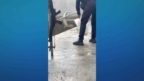 Facções do Rio de Janeiro usam 'jacarés do crime' para intimidar rivais