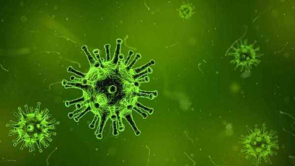França identifica primeiro caso de ebola no país