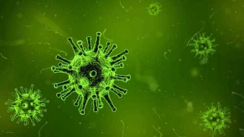França identifica primeiro caso de ebola no país