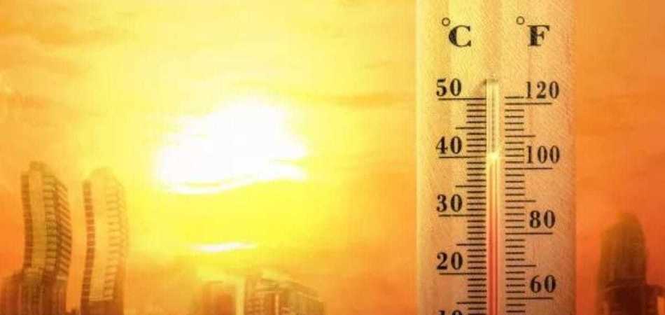 Onda de calor extremo na Europa pode deixar até o pão mais caro no Brasil