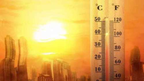 Onda de calor extremo na Europa pode deixar até o pão mais caro no Brasil
