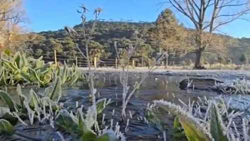 Região Sul tem recorde de frio com geadas e temperatura de até -9,1°C