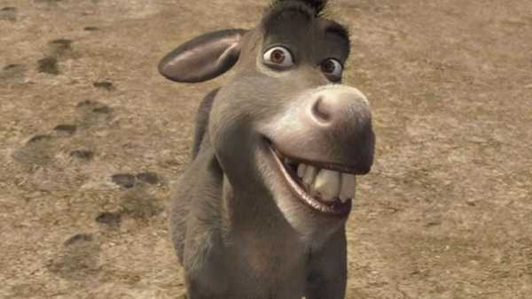 Burro de 'Shrek' ganhará filme próprio em 2028; saiba tudo