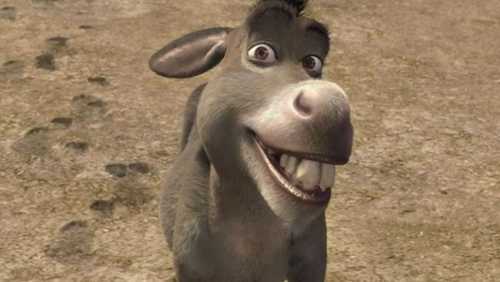 Burro de 'Shrek' ganhará filme próprio em 2028; saiba tudo