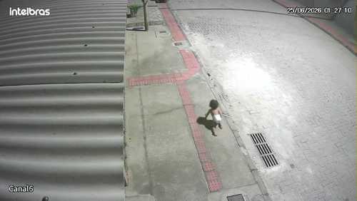 Bebê é flagrado engatinhando sozinho em rua de Vila Velha (ES)