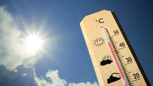 OMS: Europa pode enfrentar “semanas mais mortais” com onda de calor