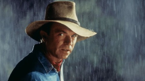 Morre Sam Neill, ator de 'Jurassic Park'e 'Peaky Blinders', aos 78 anos