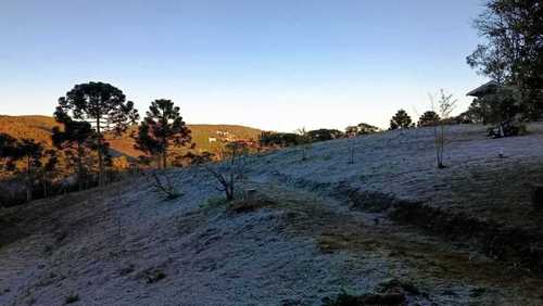 Campos do Jordão tem mínima de 1,3°C e bate recorde de frio em 2026 em SP