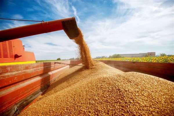 Congresso Nacional aprova renegociação de dívidas de produtores rurais