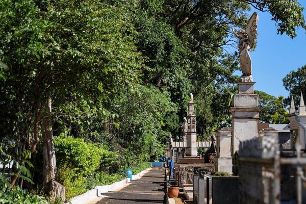 Prefeitura de Ribeirão Preto regulamenta sepultamento de animais domésticos em cemitérios municipais