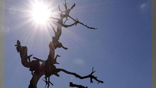 Calor fora de época? Veranico atinge parte do país e muda a cara do inverno
