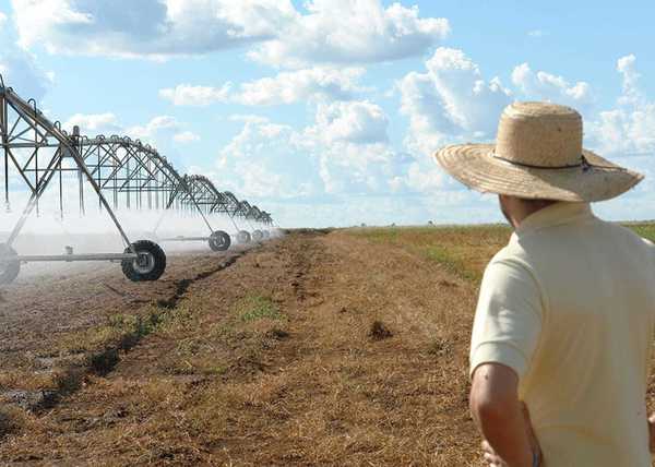 EUA podem perder posto de maior exportador agrícola do mundo para o Brasil