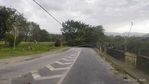 Alerta severo em SP: veja orientações de como se proteger da ventania
