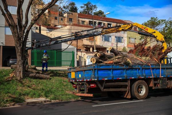Prefeitura de RP diz que já recolheu mais de 1.200 caminhões de resíduos após o temporal