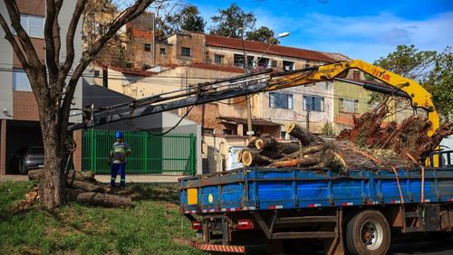 Prefeitura de RP diz que já recolheu mais de 1.200 caminhões de resíduos após o temporal