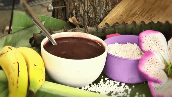 Pesquisa da UFPA investiga potencial do açaí contra ansiedade e depressão