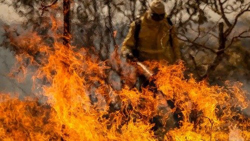 Calor extremo custará R$ 1 trilhão aos países da União Europeia em 2026