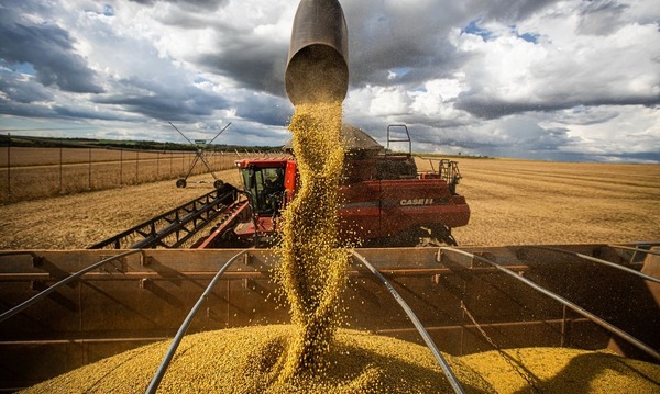 El Niño e instabilidade global levam agro a cobrar política de Estado