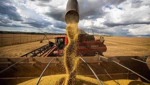 El Niño e instabilidade global levam agro a cobrar política de Estado