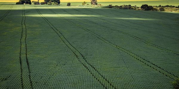 Senado aprova plano para fabricação de fertilizantes no Brasil
