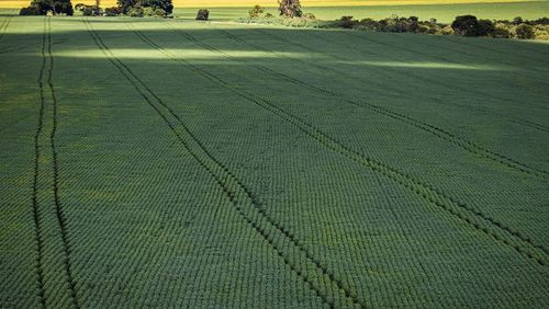 Senado aprova plano para fabricação de fertilizantes no Brasil