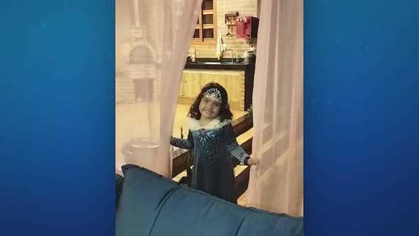 Criança de 4 anos é atacada por pitbull no quintal de casa em Goiânia