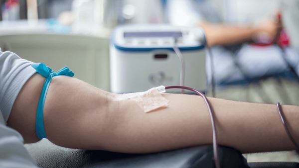 Novas regras para doação de sangue ampliam idade de doadores; veja