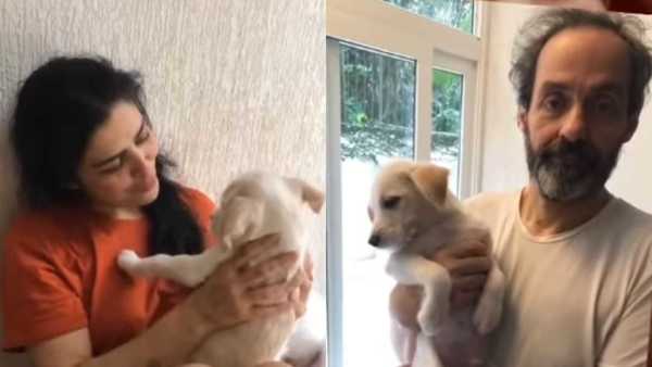 Justiça ordena devolução do cachorro de Letícia Sabatella; entenda o caso