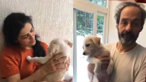 Justiça ordena devolução do cachorro de Letícia Sabatella; entenda o caso