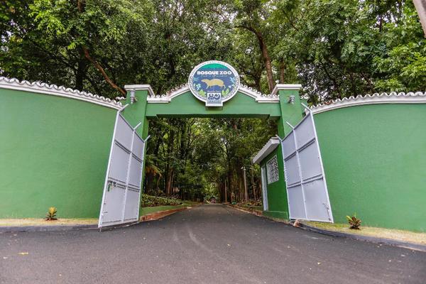 Prefeitura de Ribeirão Preto prevê reabertura do Bosque e Zoológico Dr. Fábio Barreto em 10 dias