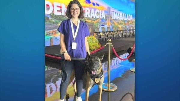 Veterinária atacada por cão do Senado segue internada em estado grave