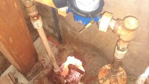 Fiscais flagram ‘gato’ na Zona Norte de RP
