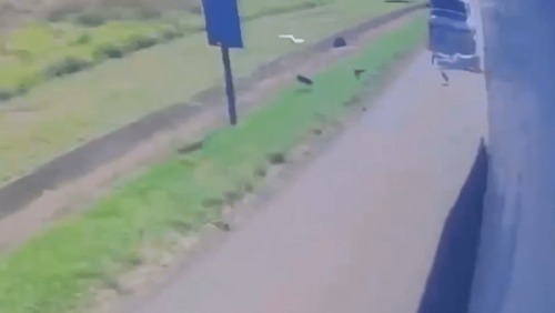 Vídeo: Caminhoneiro se distrai com celular e mata homem em SP